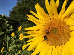 Ferienwohnung Ferienwohnung-1743341 in Pantelitz - 4 Personen, Hund nicht erlaubt