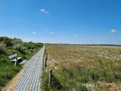 Bild zur gratis inserierten Ferienwohnung Ferienwohnung-1743527.