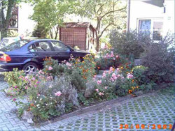 Ferienwohnung Ferienwohnung-1744326 in Kappel (Freiburg im Breisgau) - 2 Personen, Hund nicht erlaubt