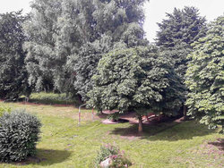 Ferienwohnung Ferienwohnung-1745407 in Rubkow - 5 Personen, Hund erlaubt