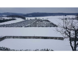 Bild zur gratis inserierten Ferienwohnung Ferienwohnung-1746259.