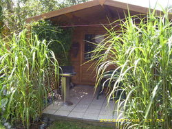 Bild zur gratis inserierten Ferienwohnung Ferienwohnung-1749693.