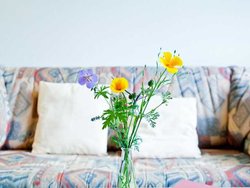 Bild zur gratis inserierten Ferienwohnung Ferienwohnung-1750881.