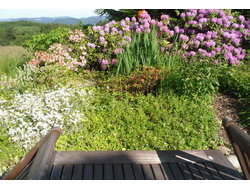 Ferienwohnung Ferienwohnung-1751440 in Harpolingen - 4 Personen, Hund nicht erlaubt