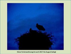 Ferienwohnung Ferienwohnung-1753047 in Borrentin - 3 Personen, Hund nicht erlaubt