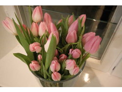 Bild zur gratis inserierten Ferienwohnung Ferienwohnung-1753222.