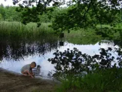 Bild zur gratis inserierten Ferienwohnung Ferienwohnung-1753676.