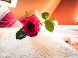 Bild zur gratis inserierten Ferienwohnung Ferienwohnung-1754501.