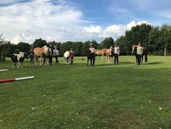 Ferienwohnung Ferienwohnung-1755220 in Kappeln - 2 Personen, Hund nicht erlaubt