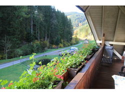 Ferienwohnung Ferienwohnung-1755625 in Oberwolfach - 4 Personen, Hund nicht erlaubt