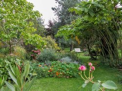 Ferienwohnung Ferienwohnung-1755705 in Gützkow - 3 Personen, Hund nicht erlaubt