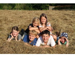 Ferienwohnung Ferienwohnung-1756369 in Ahneby - 6 Personen, Hund erlaubt