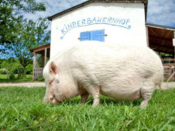 Ferienwohnung Ferienwohnung-1756554 in Schwerin - 2 Personen, Hund nicht erlaubt