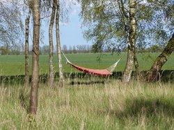 Ferienwohnung Ferienwohnung-1757048 in Bugewitz - 6 Personen, Hund erlaubt