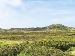 Bild zur gratis inserierten Ferienwohnung Ferienwohnung-1757322.