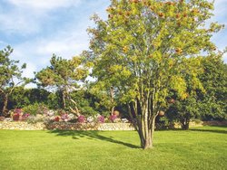 Bild zur gratis inserierten Ferienwohnung Ferienhaus-1757348.