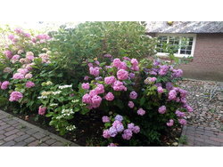 Bild zur gratis inserierten Ferienwohnung Ferienwohnung-1757468.