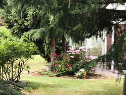 Ferienhaus Ferienhaus-1760347 in Freest - 4 Personen, Hund nicht erlaubt