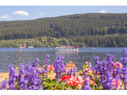 Ferienwohnung Ferienwohnung-1810977 in Neustadt im Schwarzwald - 5 Personen, Hund nicht erlaubt