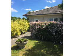 Bild zur gratis inserierten Ferienwohnung Ferienwohnung-1814422.