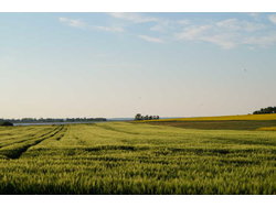 Bild zur gratis inserierten Ferienwohnung Ferienwohnung-1815101.