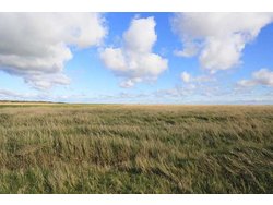 Bild zur gratis inserierten Ferienwohnung Ferienwohnung-1817861.