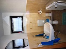 Bild zur gratis inserierten Ferienwohnung Ferienwohnung-1818162.