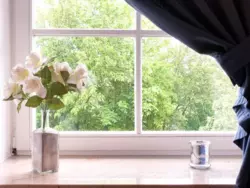 Ferienwohnung Ferienwohnung-1818220 in Born a. Darß - 2 Personen, Hund erlaubt