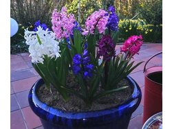 Bild zur gratis inserierten Ferienwohnung Ferienwohnung-1819499.