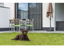 Bild zur gratis inserierten Ferienwohnung Ferienwohnung-1828638.