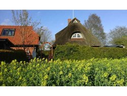 Bild zur gratis inserierten Ferienwohnung Ferienwohnung-1832430.