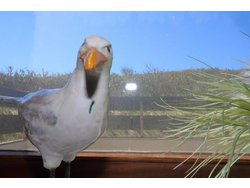 Bild zur gratis inserierten Ferienwohnung Ferienhaus-1833153.