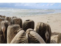 Bild zur gratis inserierten Ferienwohnung Ferienhaus-1833595.