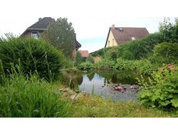 Bild zur gratis inserierten Ferienwohnung Ferienhaus-1836253.