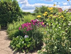 Bild zur gratis inserierten Ferienwohnung Ferienwohnung-1840386.