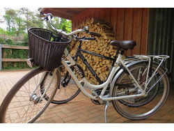 Bild zur gratis inserierten Ferienwohnung Ferienhaus-1842887.