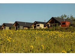 Ferienhaus Ferienhaus-1851555 in Groß Nemerow - 3 Personen, Hund nicht erlaubt