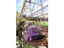 Bild zur gratis inserierten Ferienwohnung Ferienwohnung-1852996.