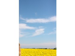 Bild zur gratis inserierten Ferienwohnung Ferienwohnung-1853001.