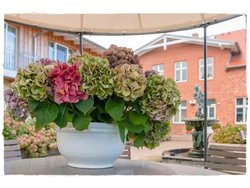 Bild zur gratis inserierten Ferienwohnung Ferienwohnung-1855527.