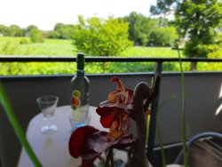 Bild zur gratis inserierten Ferienwohnung Ferienwohnung-1856068.