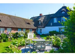 Ferienwohnung Ferienwohnung-1858983 in Utersum - 4 Personen, Hund erlaubt