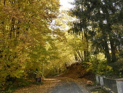 Ferienwohnung Ferienwohnung-1878339 in Gößweinstein - 6 Personen, Hund nicht erlaubt