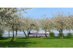 Bild zur gratis inserierten Ferienwohnung Ferienwohnung-1922812.