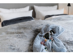 Bild zur gratis inserierten Ferienwohnung Ferienwohnung-1923222.