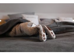 Ferienwohnung Ferienwohnung-1923432 in Mastershausen - 4 Personen, Hund nicht erlaubt