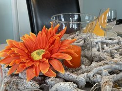 Bild zur gratis inserierten Ferienwohnung Ferienwohnung-1924010.