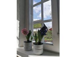 Ferienwohnung Ferienwohnung-1924534 in Riepsdorf - 4 Personen, Hund erlaubt