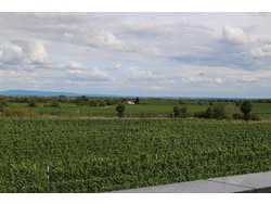 Bild zur gratis inserierten Ferienwohnung Ferienwohnung-2087370.