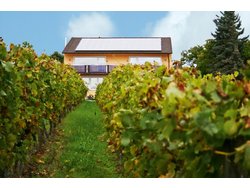 Ferienwohnung Ferienwohnung-2087377 in Bad Dürkheim - 6 Personen, Hund erlaubt